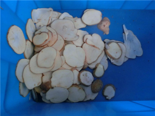  QD2000 Vegetable Dicer